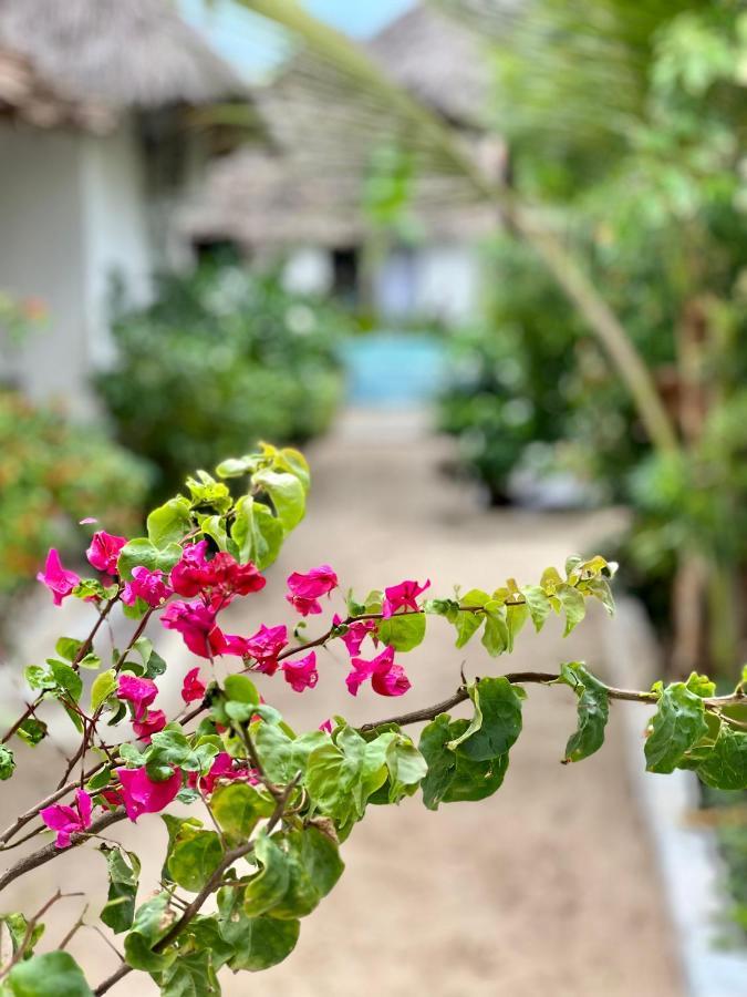 Jambiani White Sands Bungalows Exterior photo