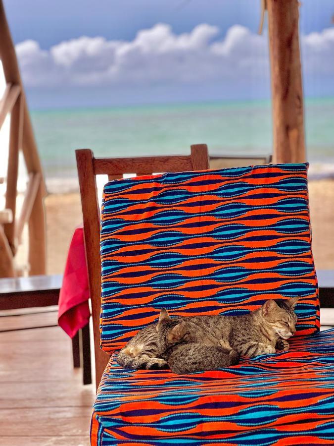 Jambiani White Sands Bungalows Exterior photo
