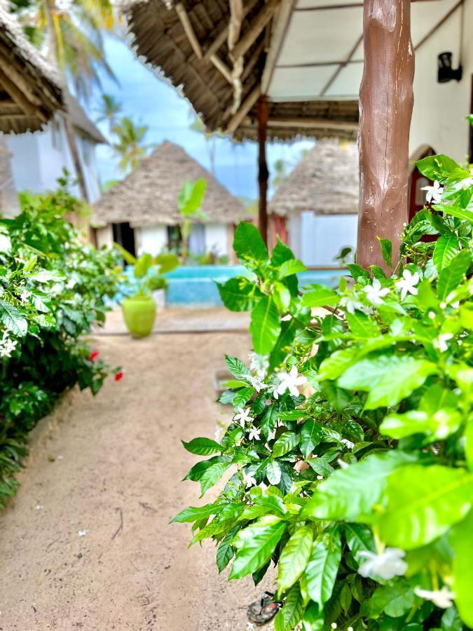 Jambiani White Sands Bungalows Exterior photo